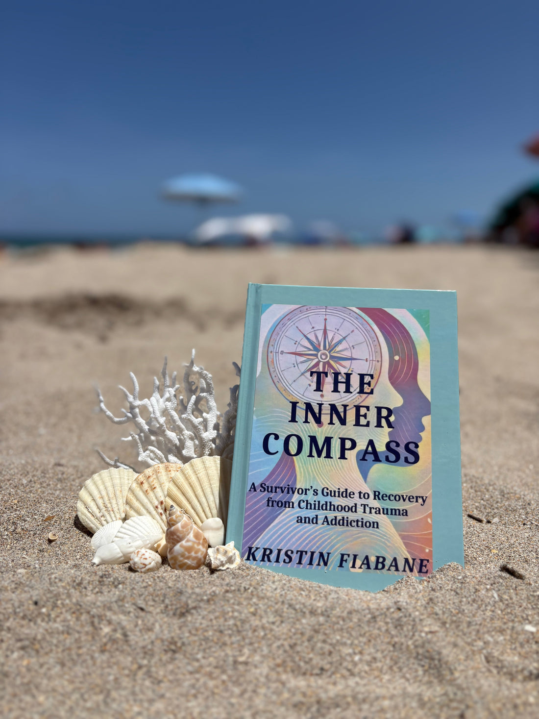 How to Navigate Your Inner Compass – Kristin's Book Shelf