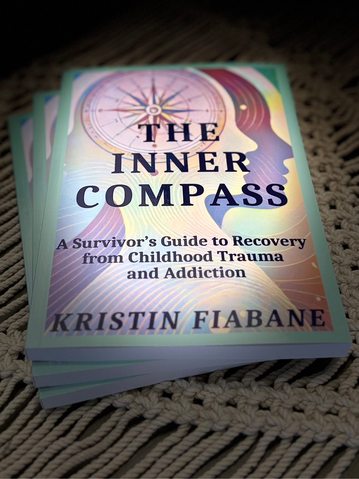 The Inner Compass How to Navigate Your Inner Compass – Kristin's Book Shelf